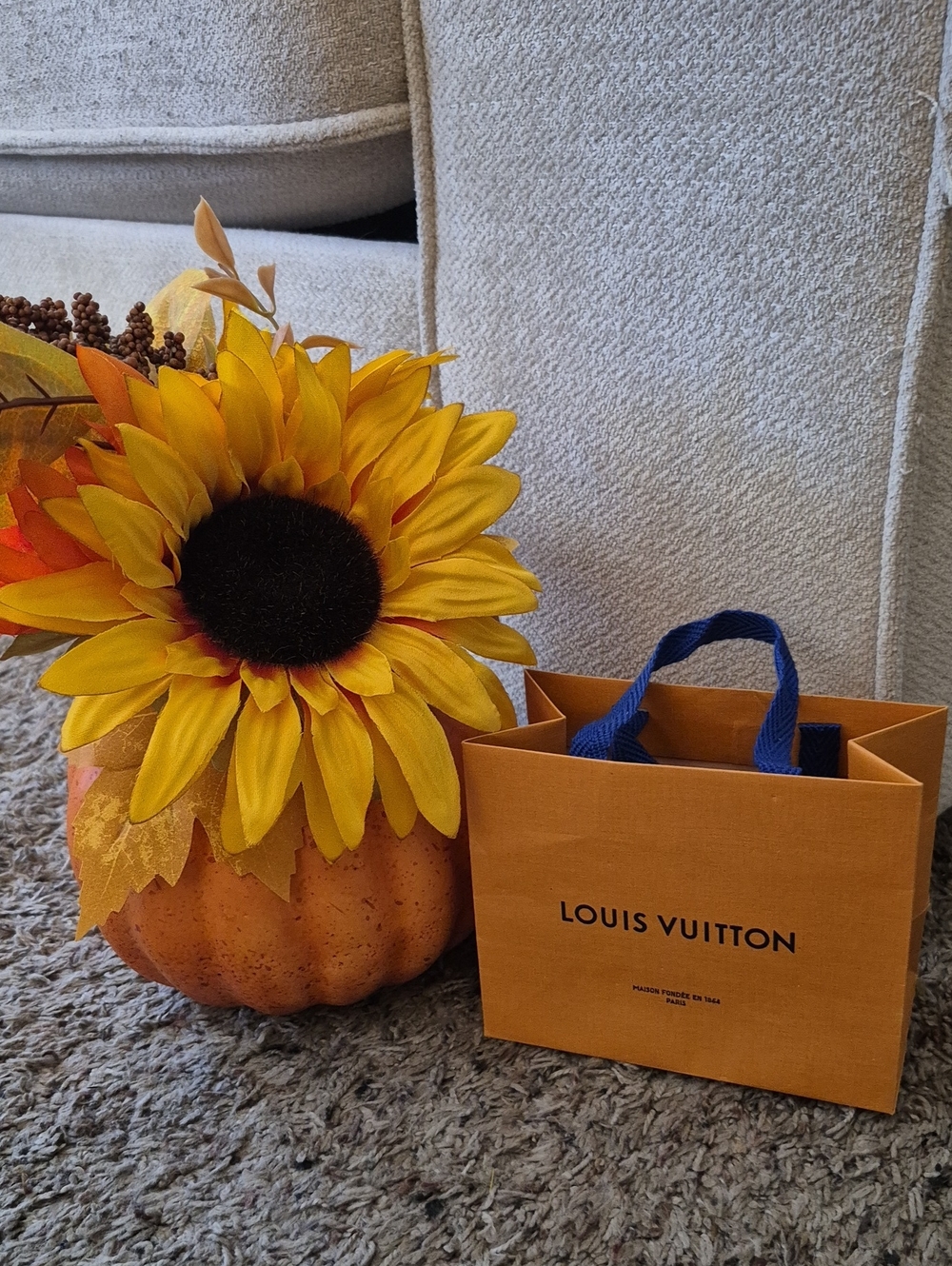 Louis Vuitton Shopping Gift Bag